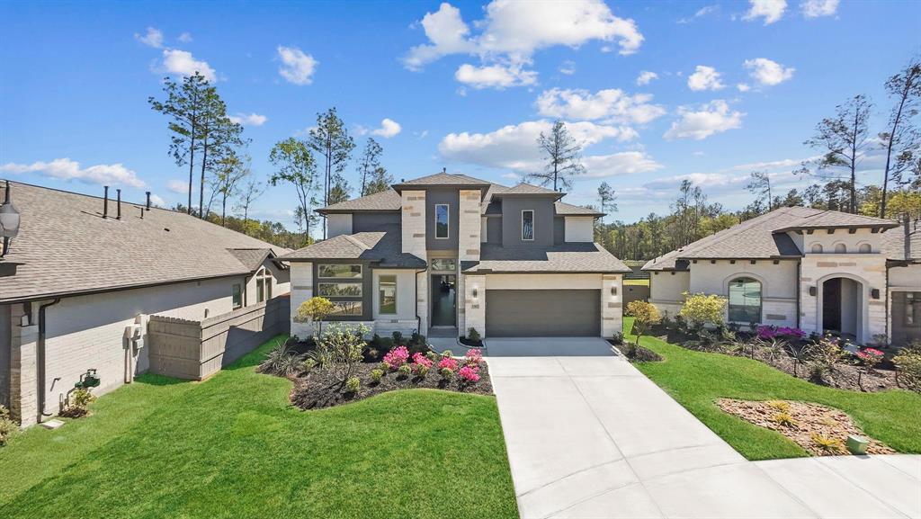 17827 Parnassum Path, Conroe, Texas image 3