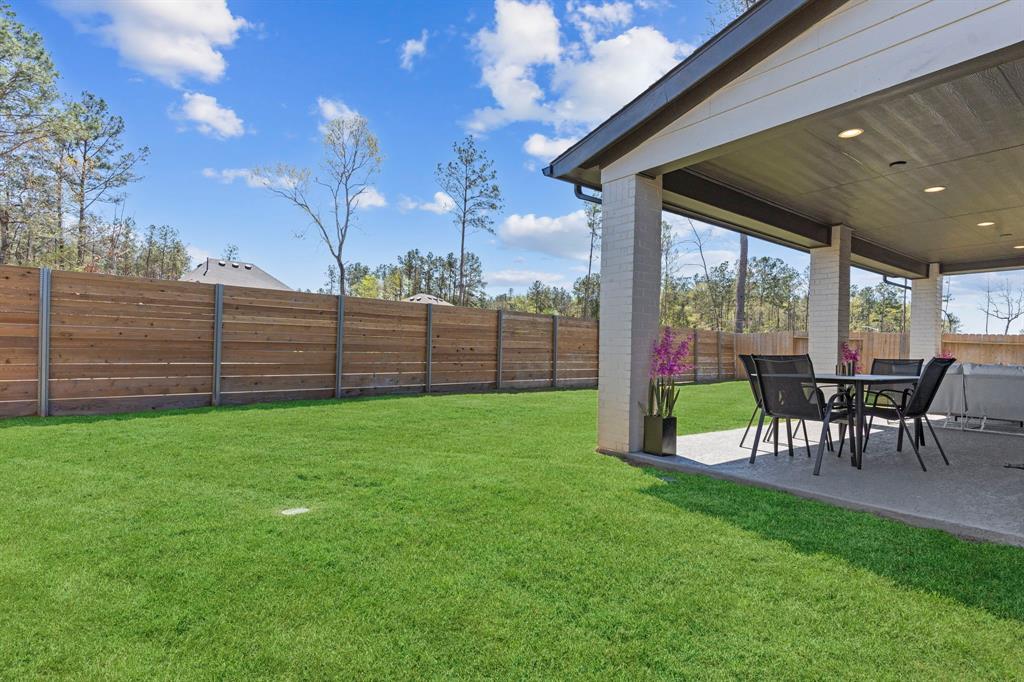 17827 Parnassum Path, Conroe, Texas image 44