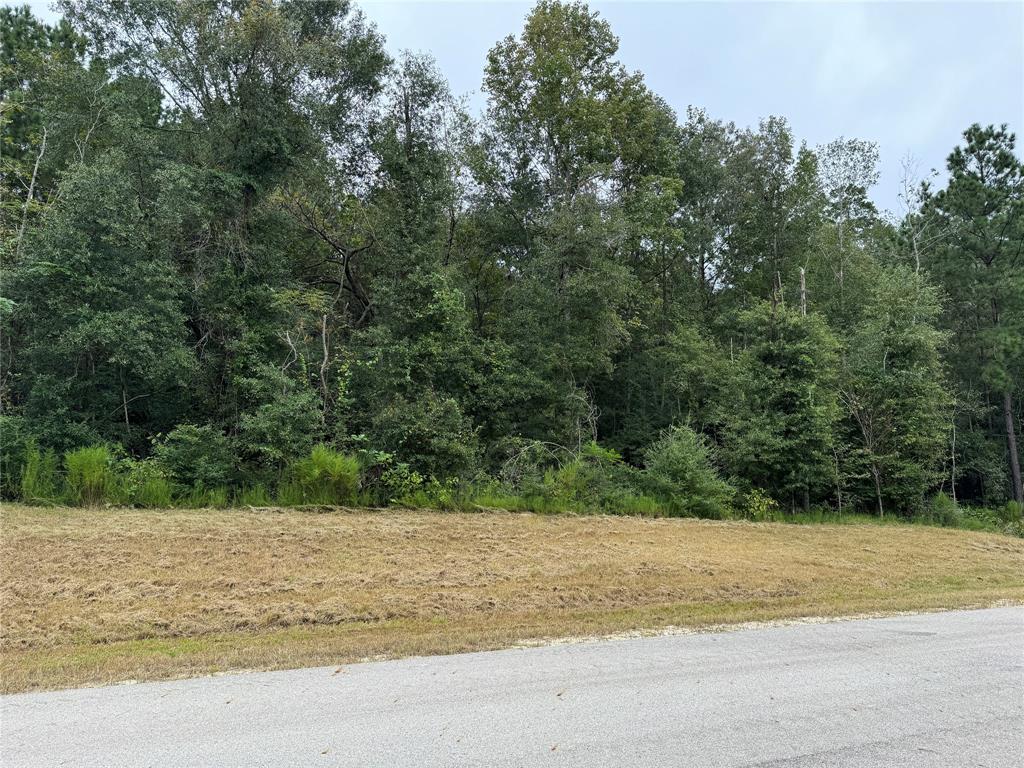 15-34-4 Grassland Court, Huntsville, Texas image 10