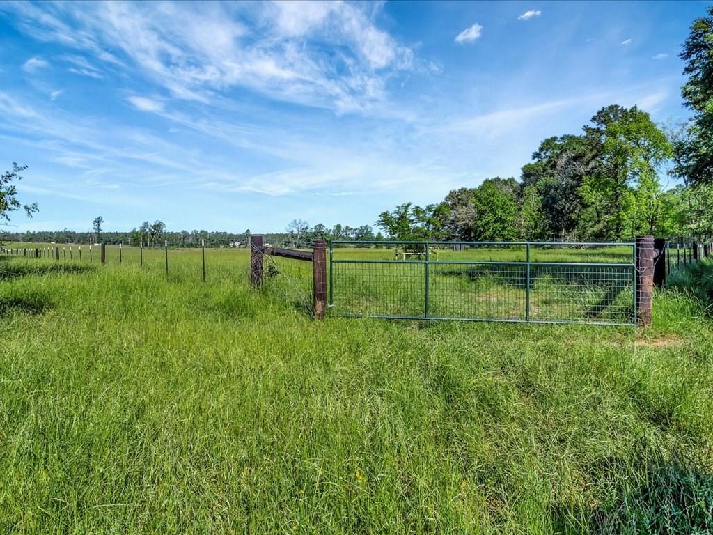 3103 Cheeseland Road Rd, Pollok, Texas image 30