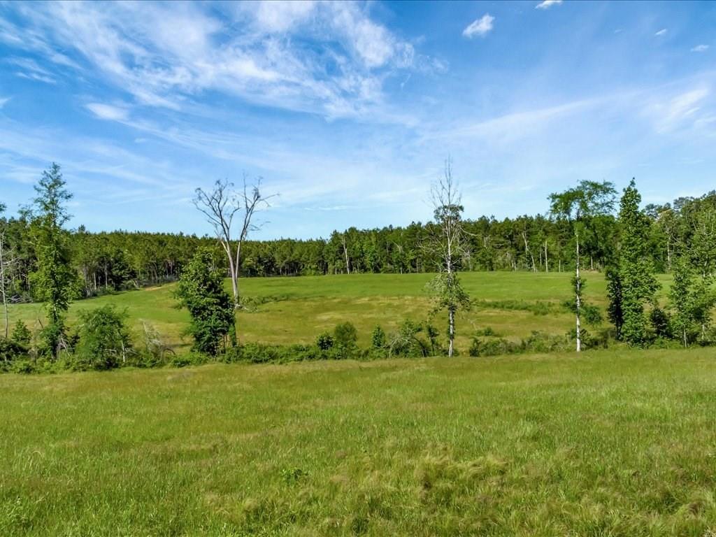 3103 Cheeseland Road Rd, Pollok, Texas image 8