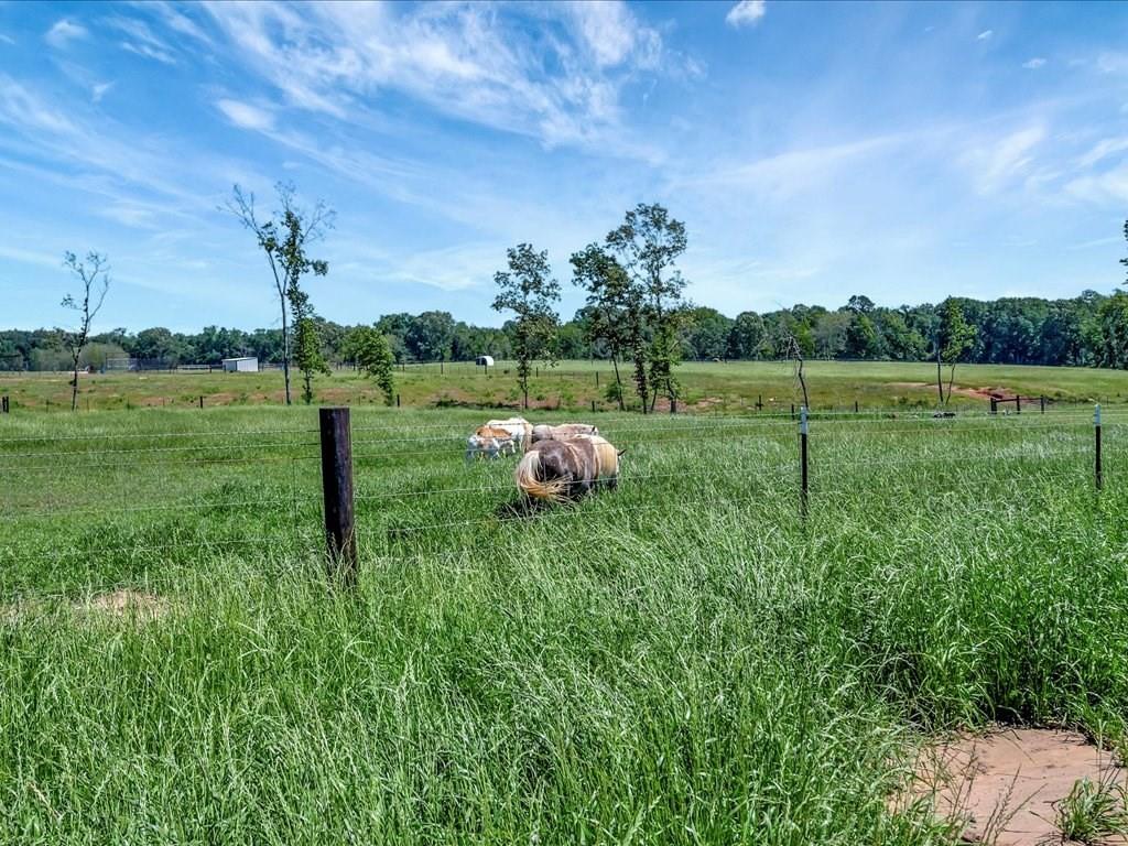 3103 Cheeseland Road Rd, Pollok, Texas image 49