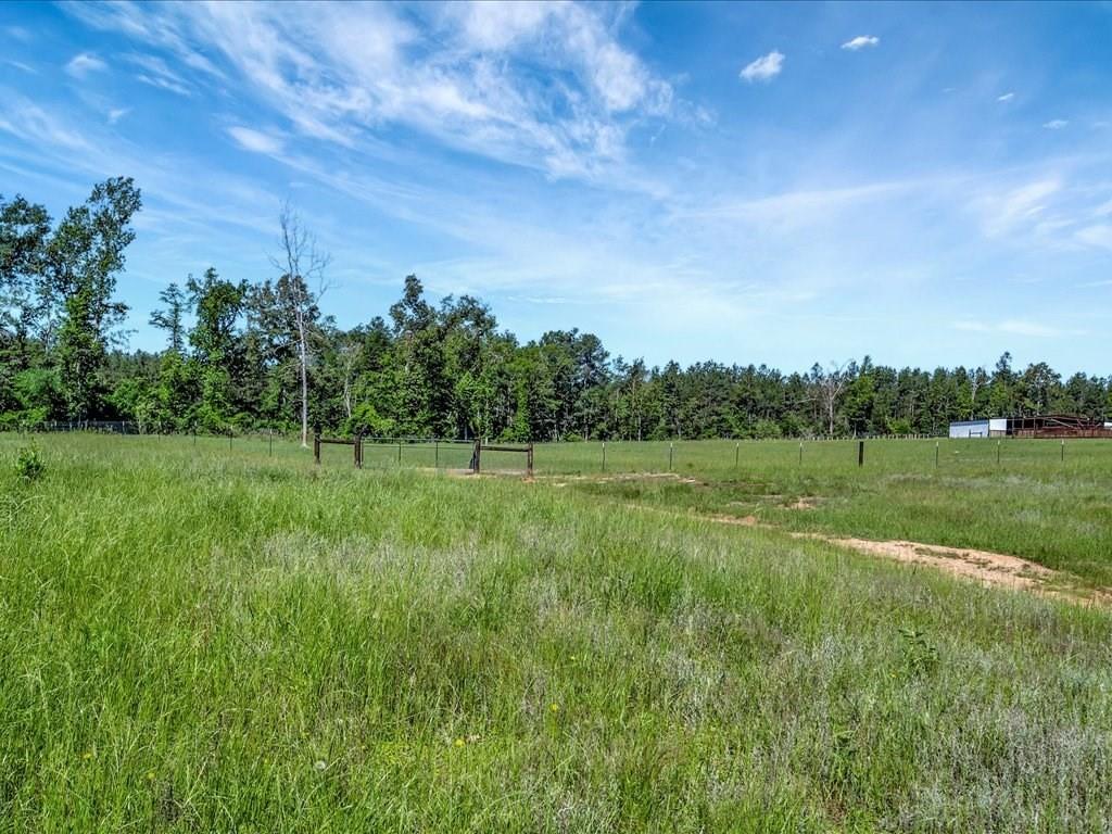 3103 Cheeseland Road Rd, Pollok, Texas image 36