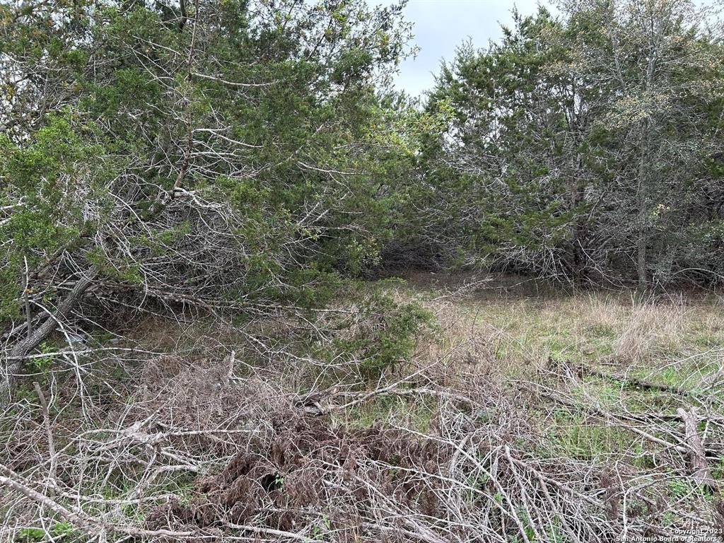 00 Old Trail Drive, Bandera, Texas image 2