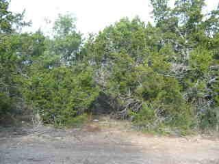 00 Old Trail Drive, Bandera, Texas image 1