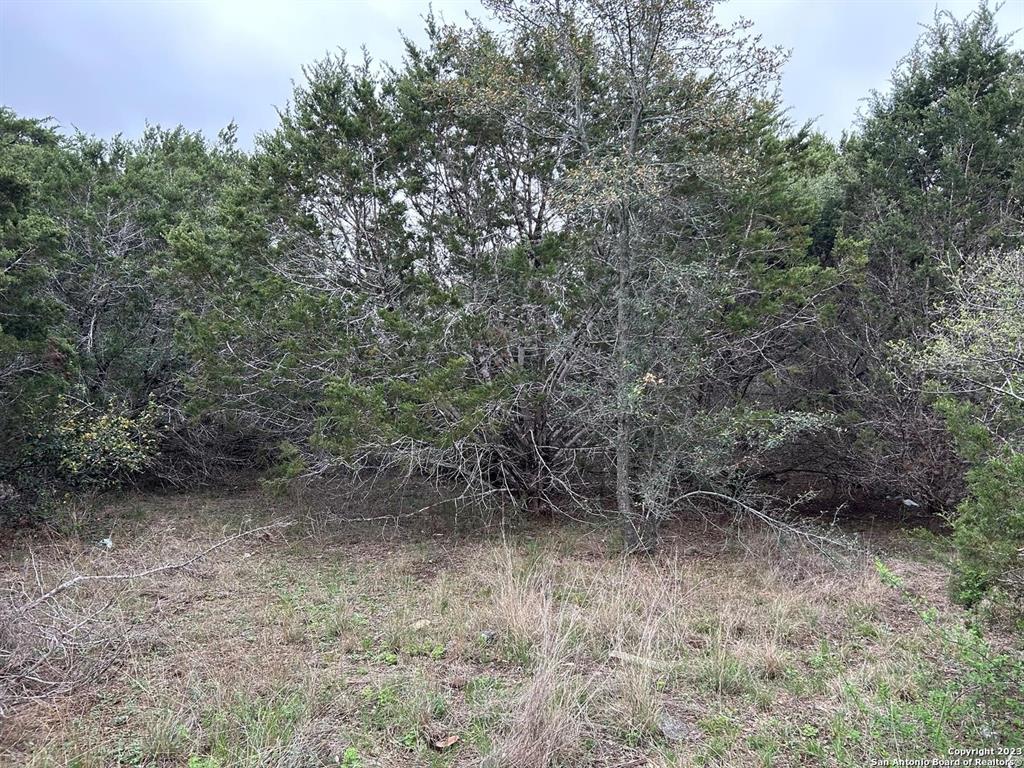 00 Old Trail Drive, Bandera, Texas image 4