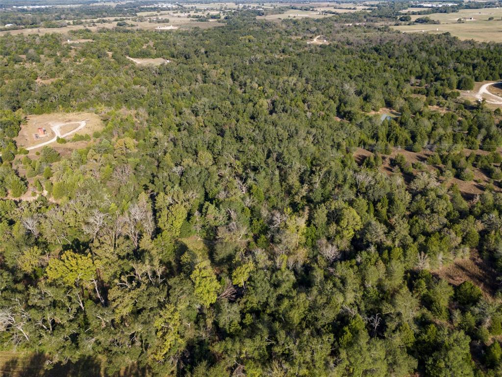 TBD W Fm 489, Teague, Texas image 3