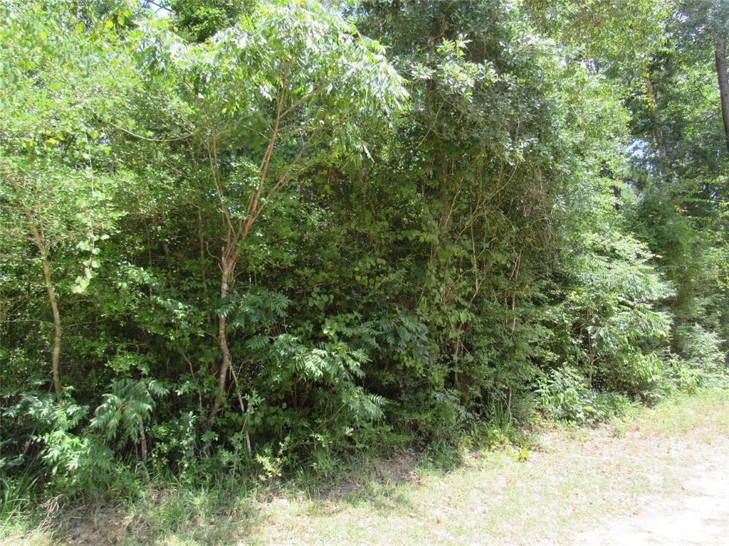 TBD Hickory Hill Road, Cleveland, Texas image 3