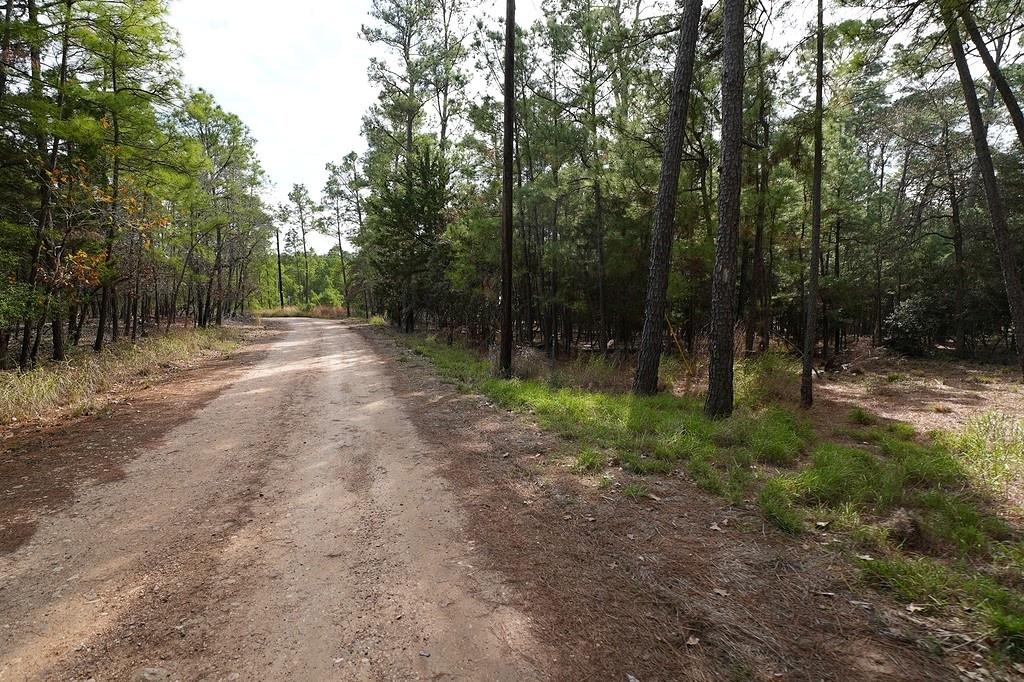 000 Red Fox Road, La Grange, Texas image 9