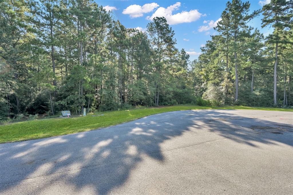12835 Beaux Ridge Rdg, Montgomery, Texas image 4