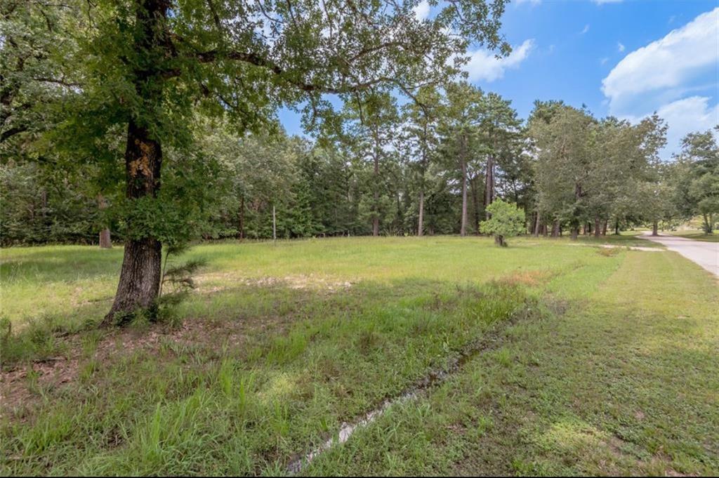 Lot 33 Peach Point Lane, Trinity, Texas image 2