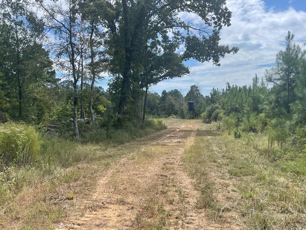 TBD Cr 2125, Crockett, Texas image 35