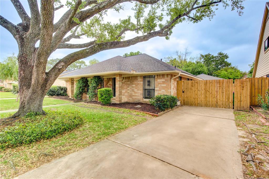 21355 Park Tree Lane, Katy, Texas image 3