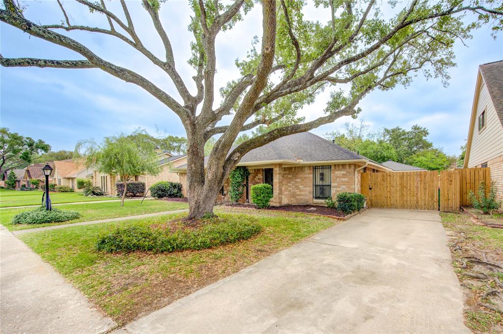 21355 Park Tree Lane, Katy, Texas image 4