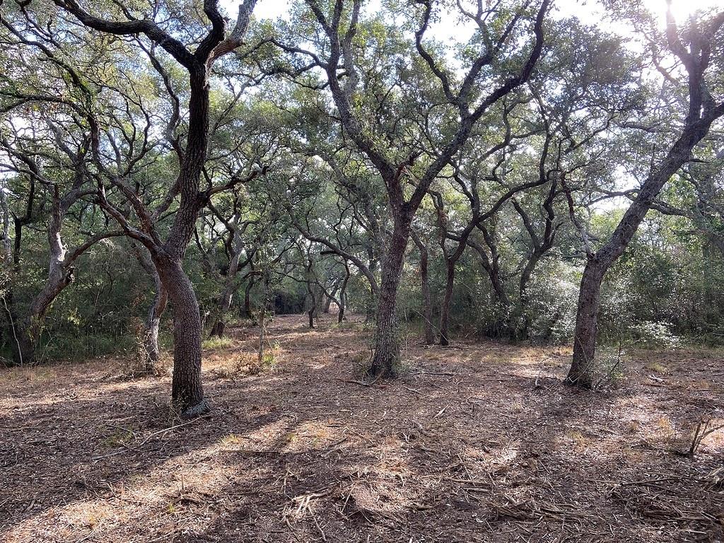 TBD Loose Cow Road, Garwood, Texas image 12