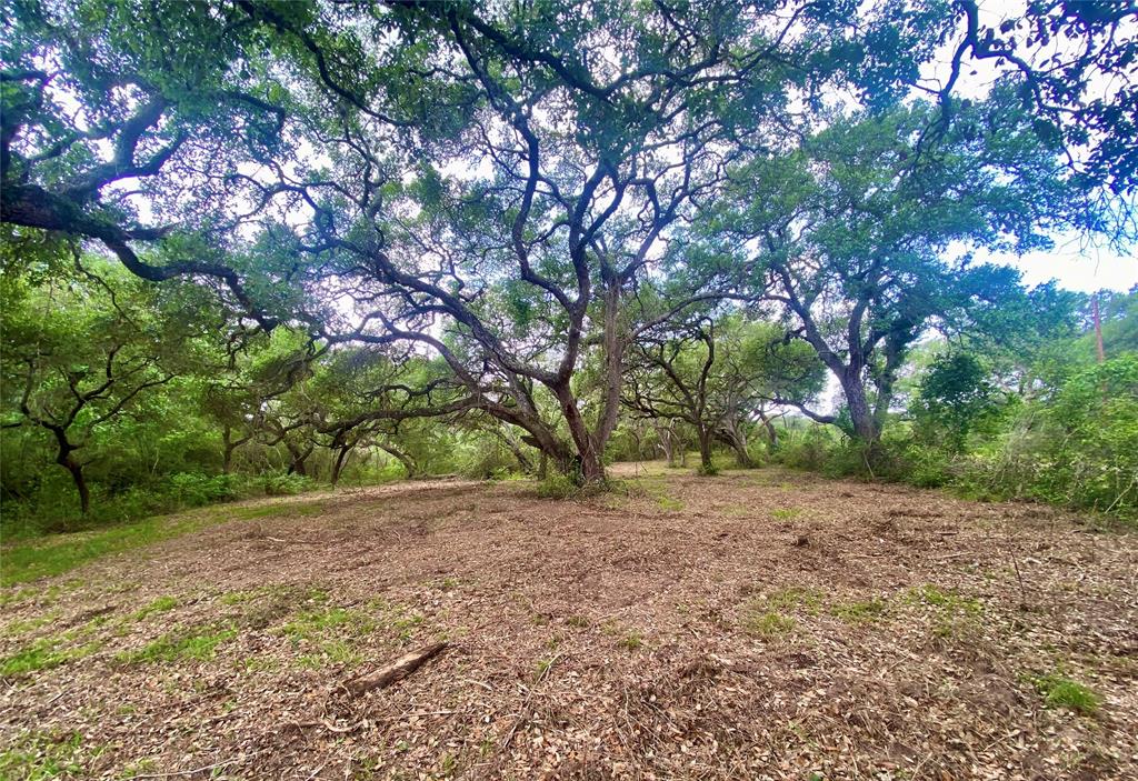 TBD Loose Cow Road, Garwood, Texas image 4