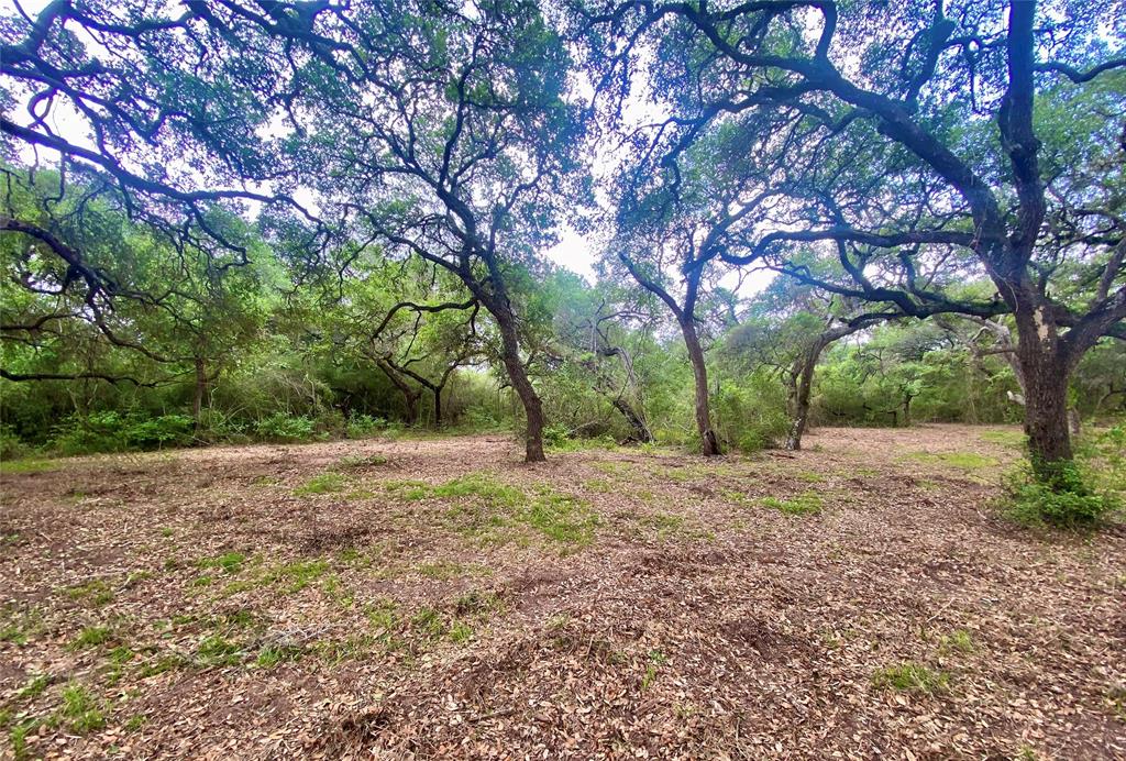 TBD Loose Cow Road, Garwood, Texas image 10