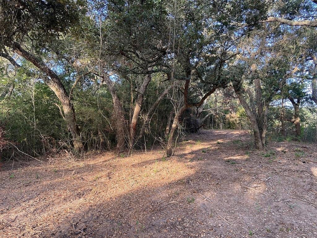 TBD Loose Cow Road, Garwood, Texas image 13