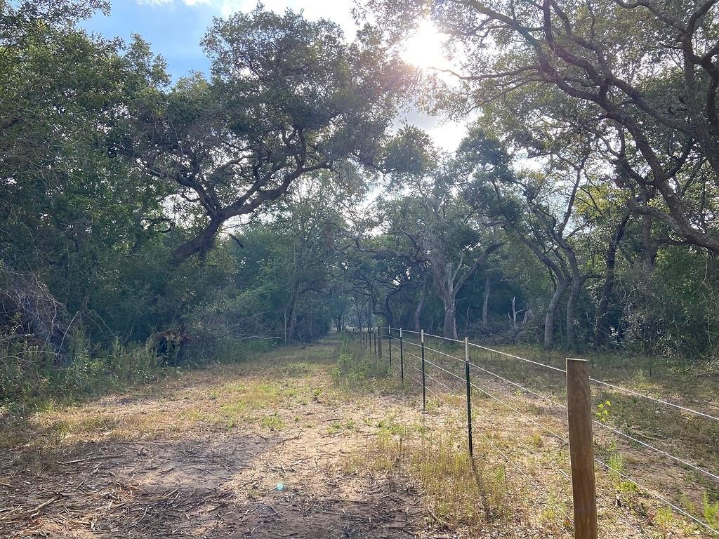 TBD Loose Cow Road, Garwood, Texas image 3