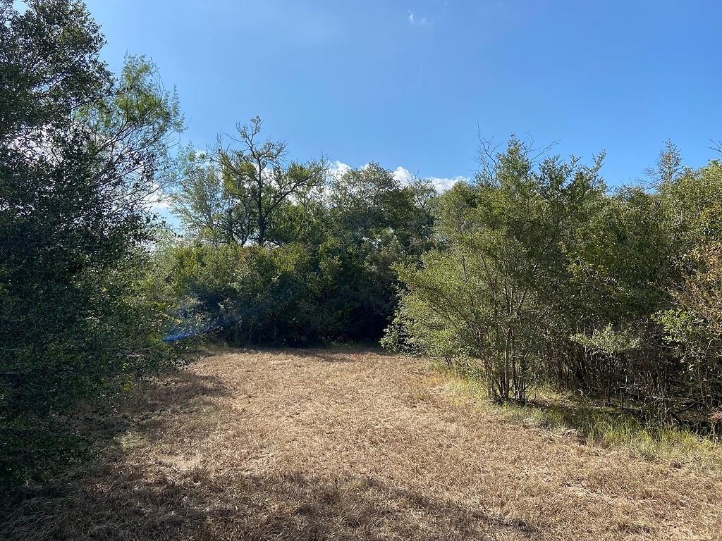 TBD Loose Cow Road, Garwood, Texas image 14