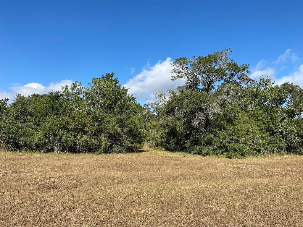 TBD Loose Cow Road, Garwood, Texas image 15