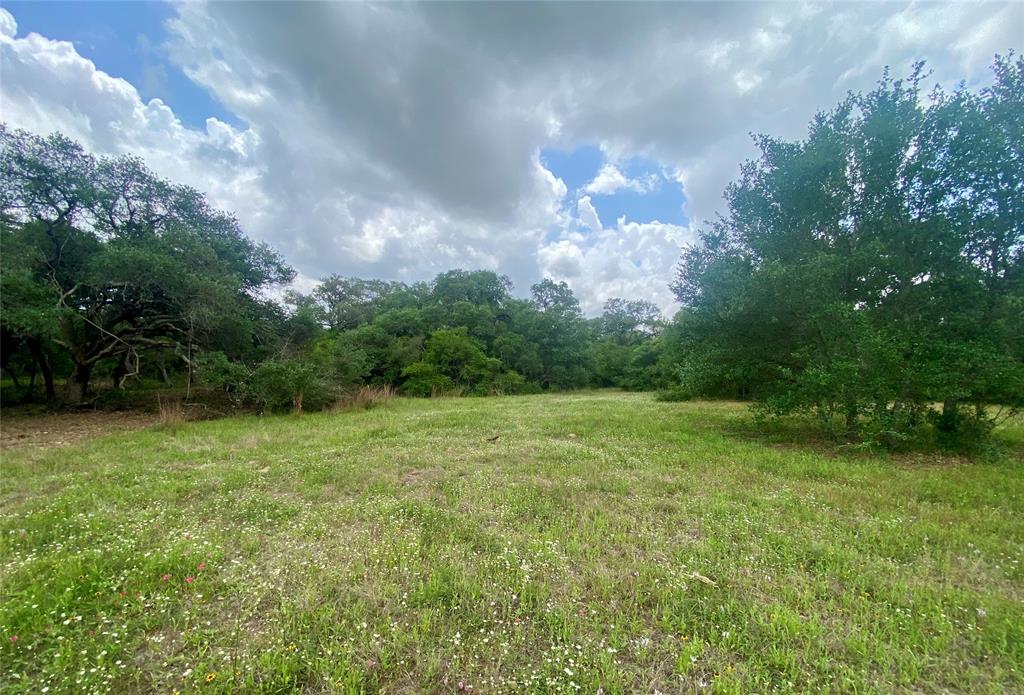 TBD Loose Cow Road, Garwood, Texas image 7