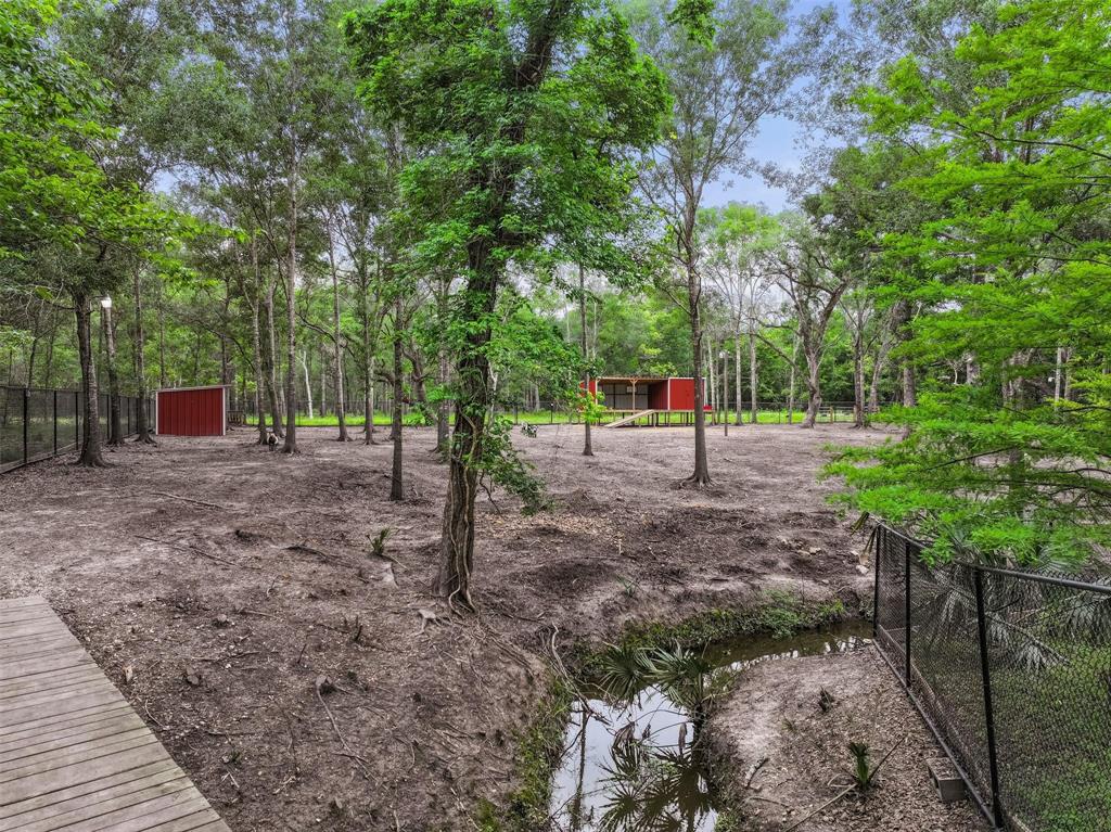 6310 Wickwillow Lane, Alvin, Texas image 7