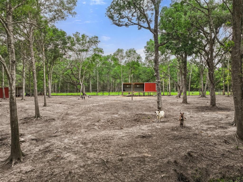6310 Wickwillow Lane, Alvin, Texas image 9