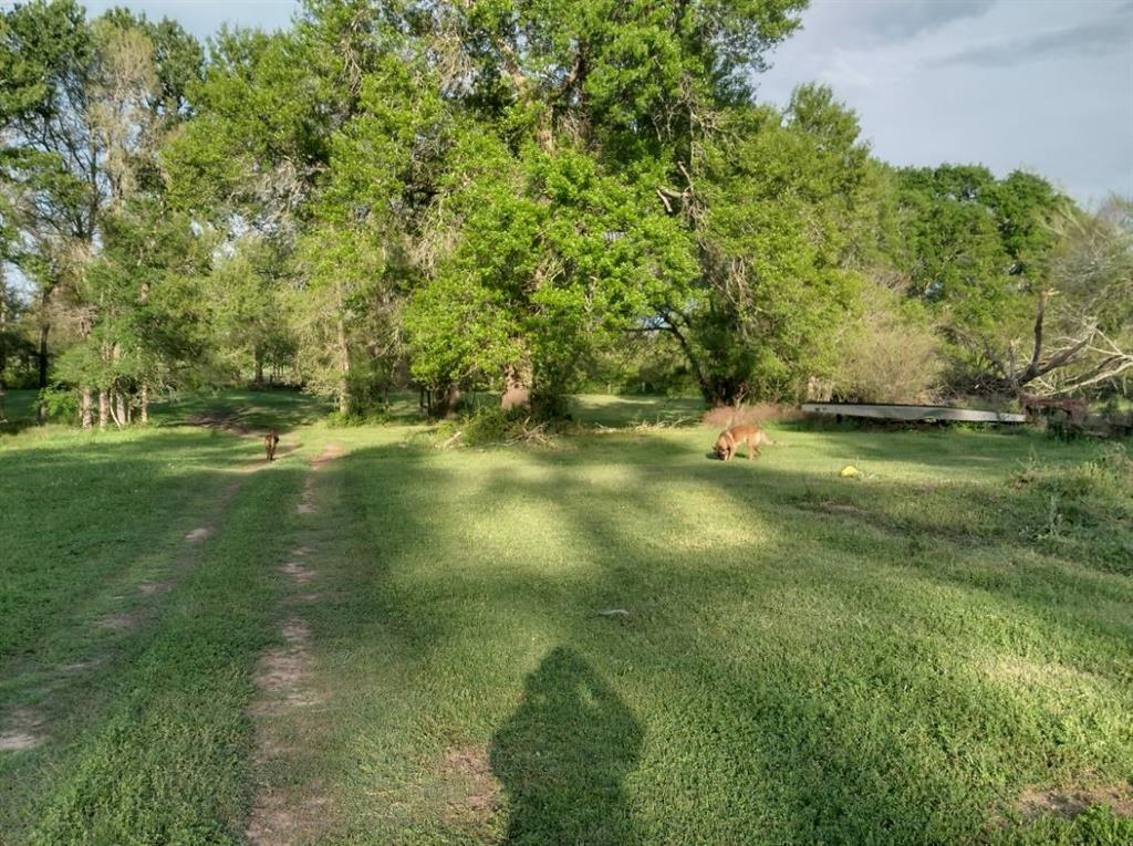 6400 Dunn Lane, Washington, Texas image 43