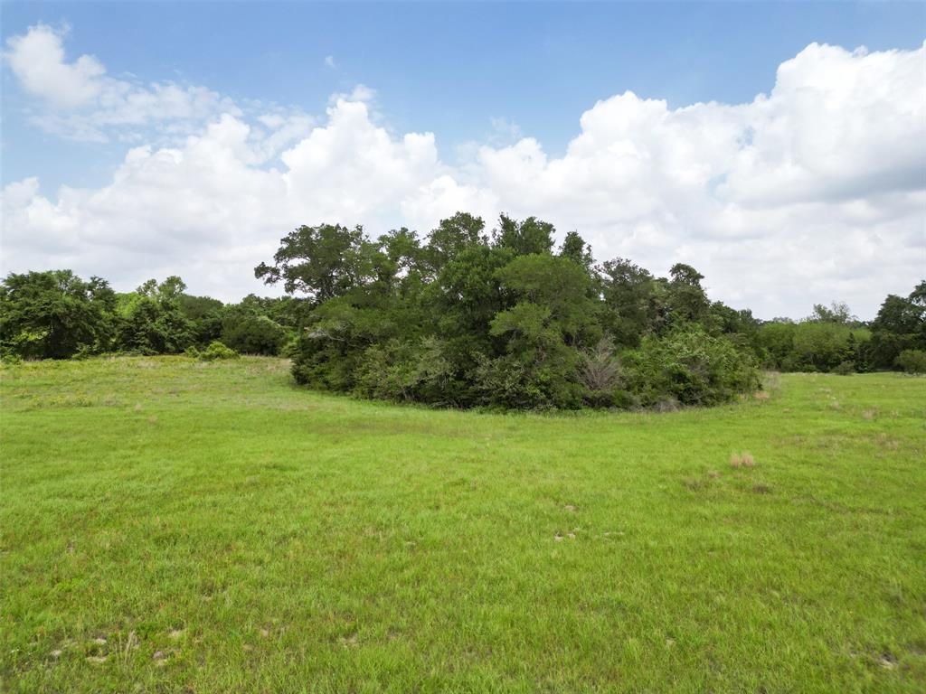 7605 Havens Point, Navasota, Texas image 9