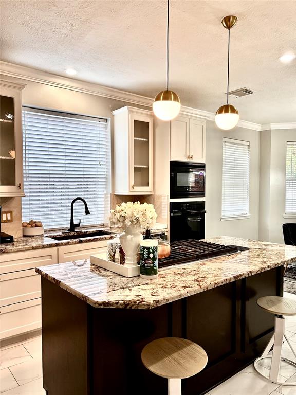 11423 Corola Trail Drive, Houston, Texas image 21