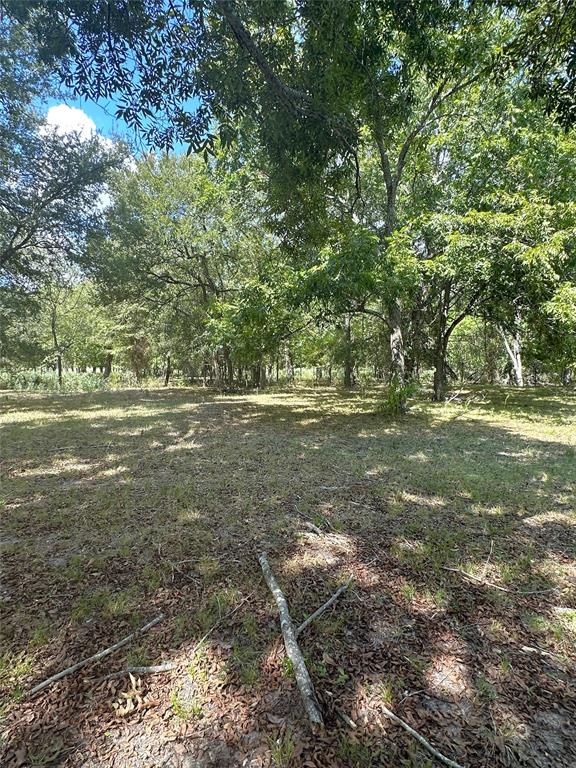 853 County Road 206, Bremond, Texas image 4