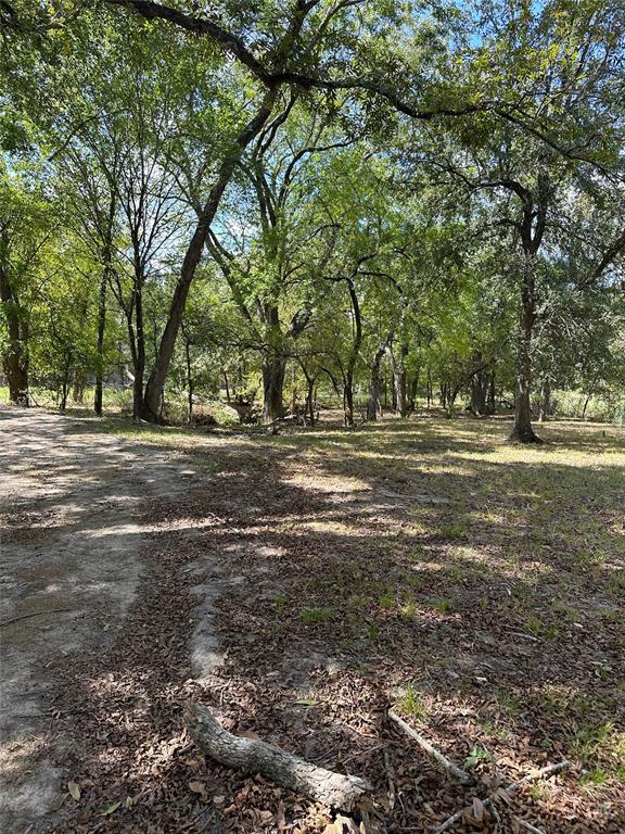 853 County Road 206, Bremond, Texas image 5