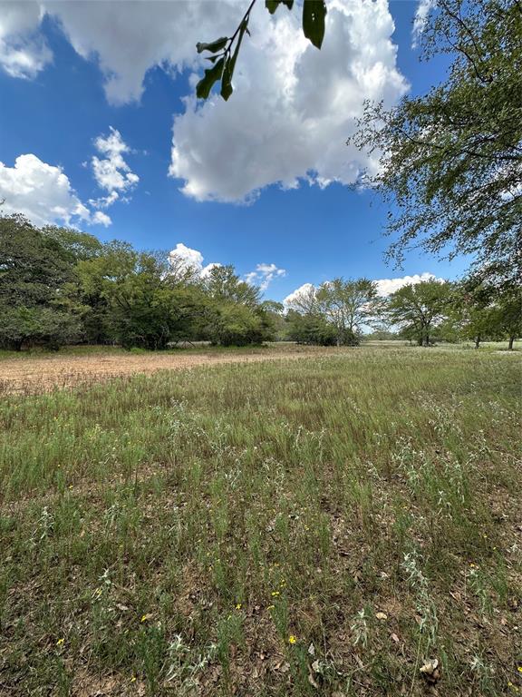 853 County Road 206, Bremond, Texas image 8