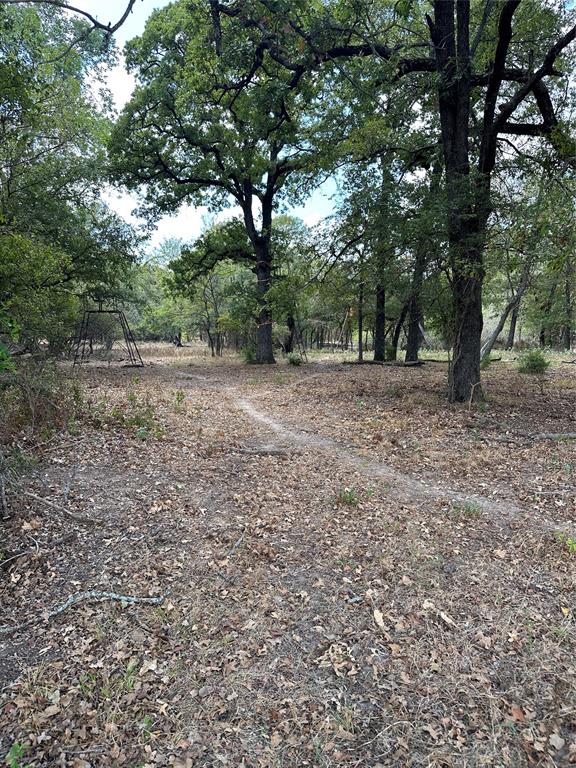 853 County Road 206, Bremond, Texas image 6