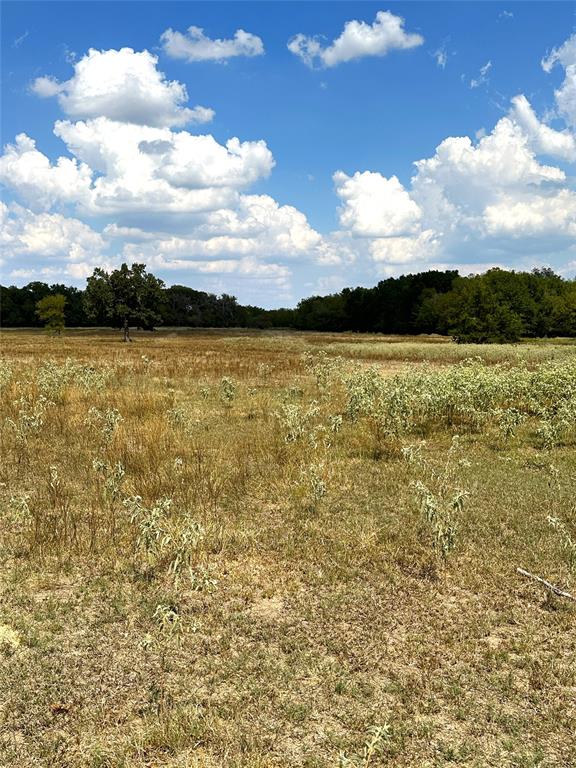 853 County Road 206, Bremond, Texas image 9