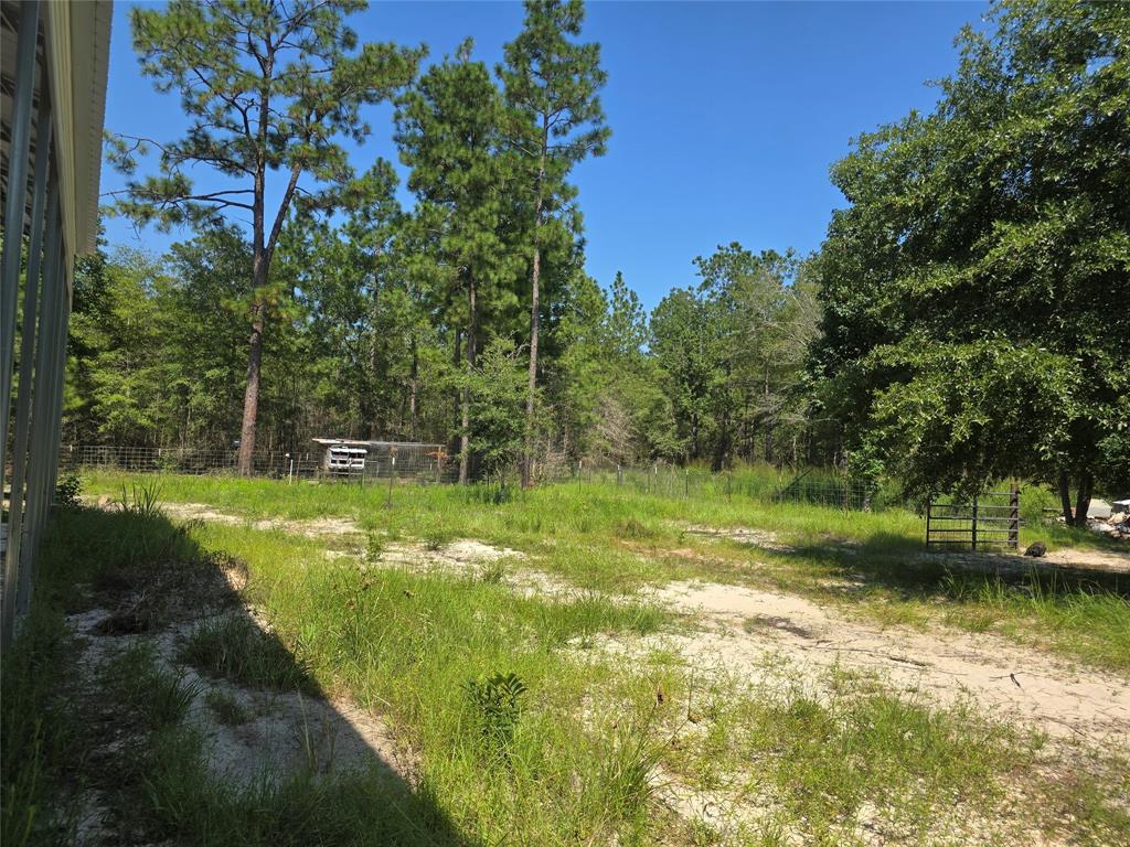 1603 Damon Ln Ln, Kountze, Texas image 4