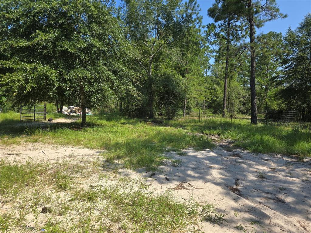 1603 Damon Ln Ln, Kountze, Texas image 3