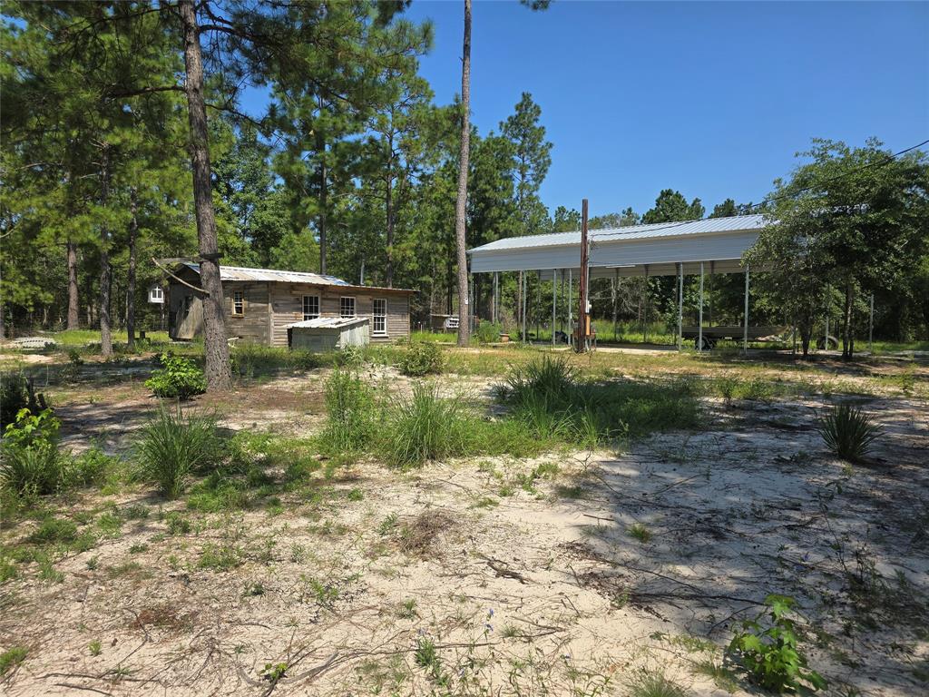 1603 Damon Ln Ln, Kountze, Texas image 6