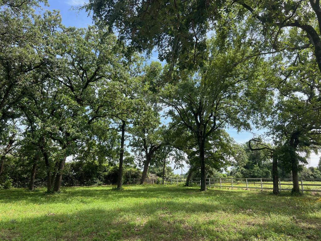 3006 Cr 204, Centerville, Texas image 17