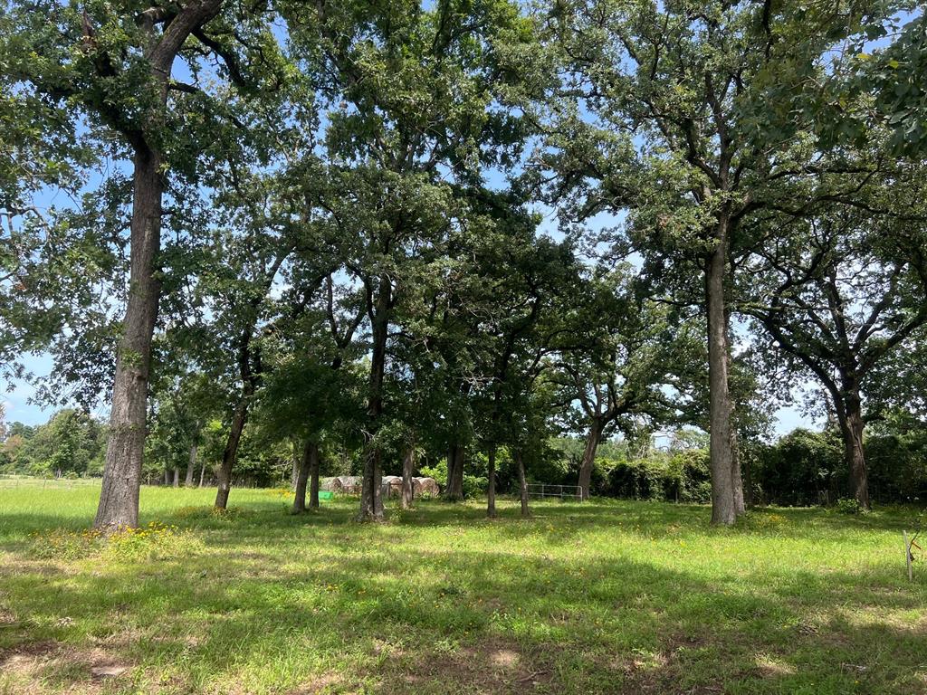 3006 Cr 204, Centerville, Texas image 20