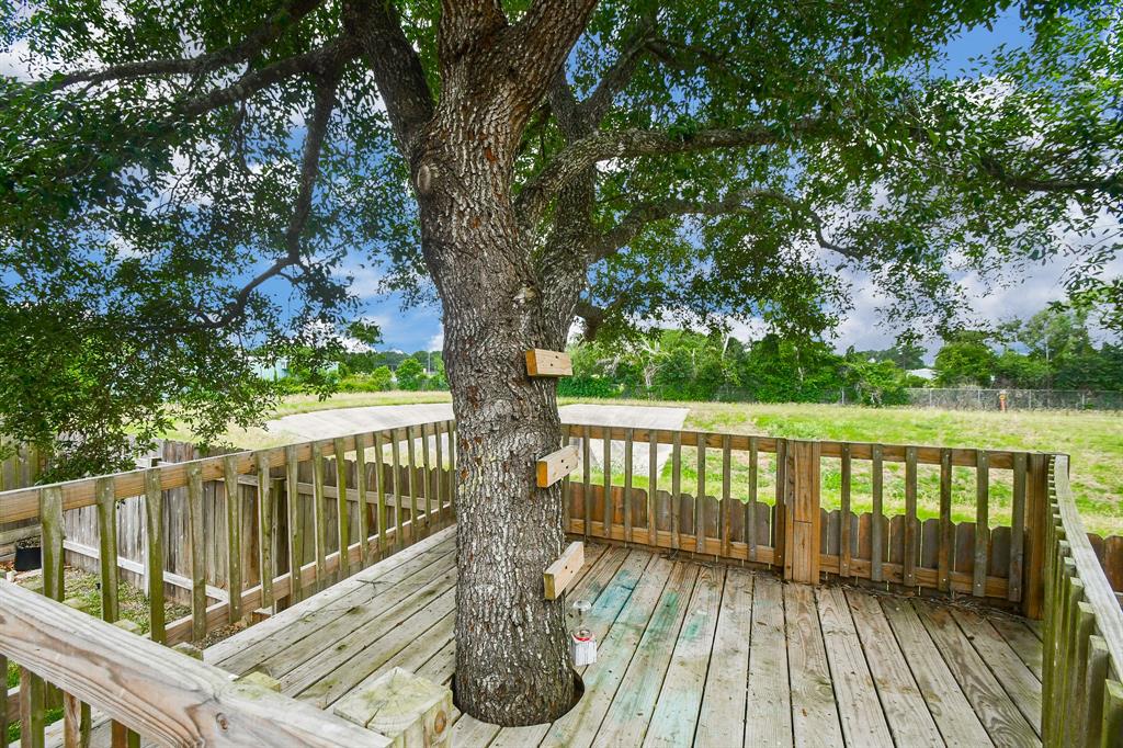 5207 Belvedere Drive, Rosenberg, Texas image 50