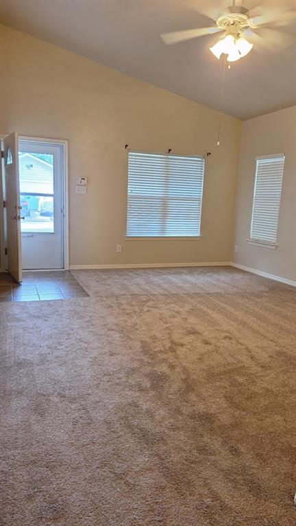 10219 Cinnaberry Lane, Tomball, Texas image 6