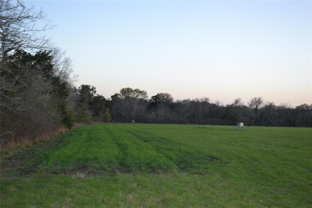 TBD W Us Hwy 90 Highway, Schulenburg, Texas image 7