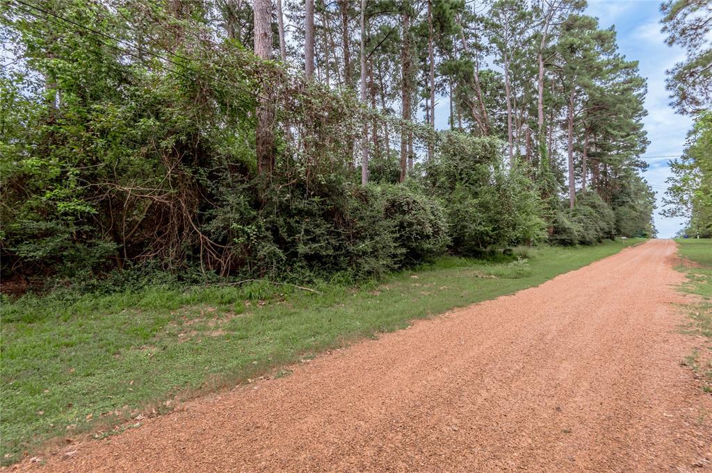 Lot 25-26 Pine Drive, Crockett, Texas image 10