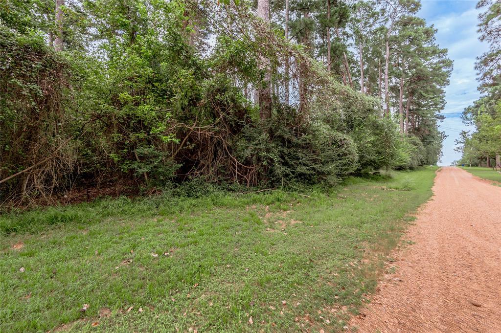 Lot 25-26 Pine Drive, Crockett, Texas image 11