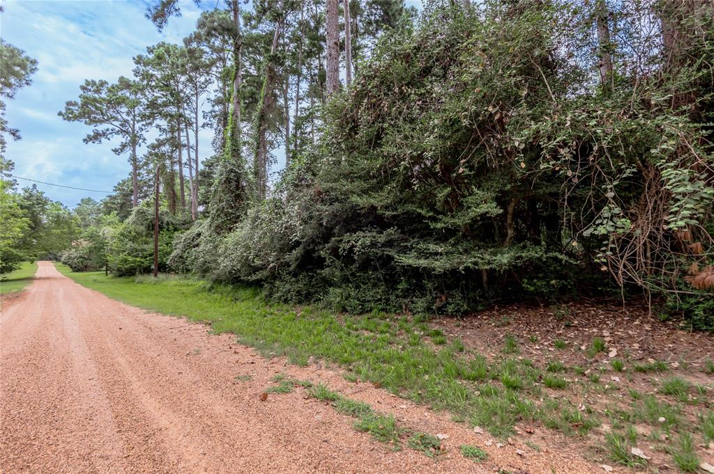 Lot 25-26 Pine Drive, Crockett, Texas image 5