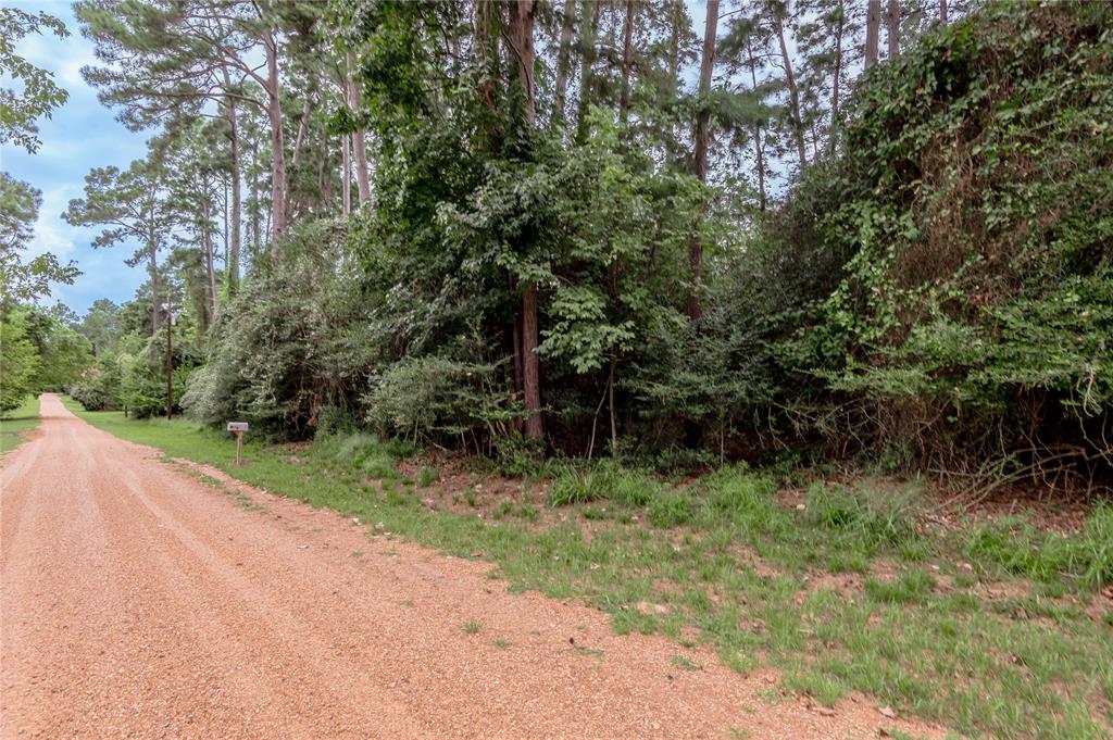 Lot 25-26 Pine Drive, Crockett, Texas image 4