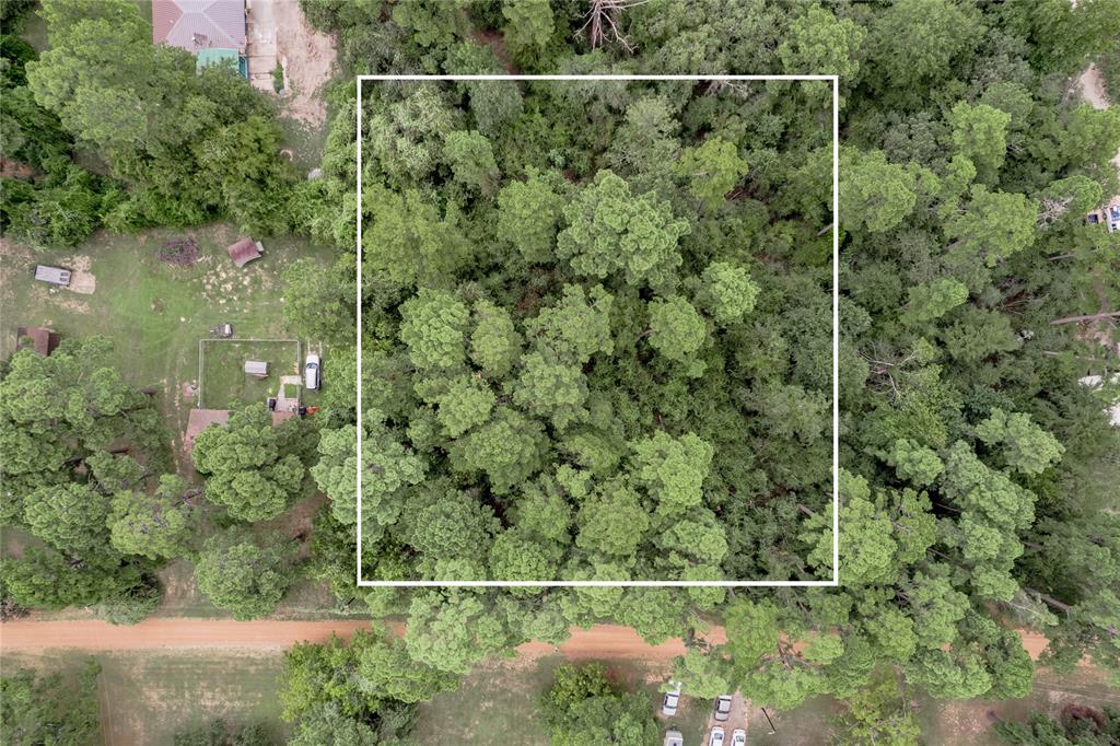 Lot 25-26 Pine Drive, Crockett, Texas image 2