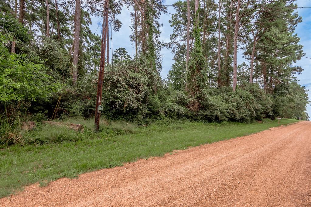 Lot 25-26 Pine Drive, Crockett, Texas image 12